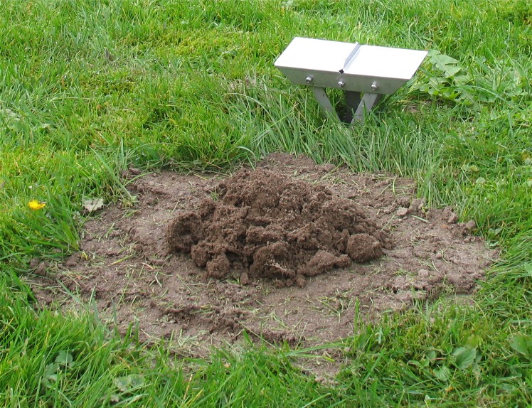 Muldvarpeskud og Motrap muldvarpesaks