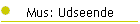 Mus: Udseende