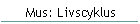 Mus: Livscyklus