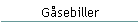 Gsebiller