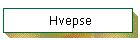 Hvepse