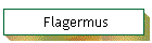 Flagermus