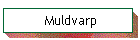 Muldvarp